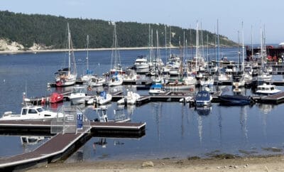 Camping and Whale Watching in Tadoussac